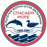 Штаб "Дельфины" Спасаем море. п.Волна🐬 Новости