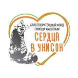 Приют «ФИЛИМОША»