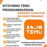 Temu haqida ma’lumot