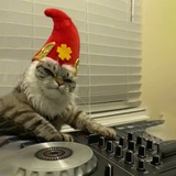 DjCAT $SCRATCH