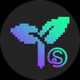 Solana New Pool Bot - Salt