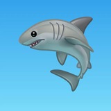 Swift Shark · Contest 2024 Round 2