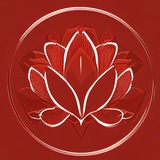 Peony《牡丹》
