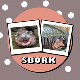Boncy Pork $BORK - Moodengs Name