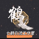 七鹤自动引流工作室
