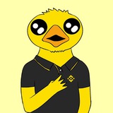 Ducky