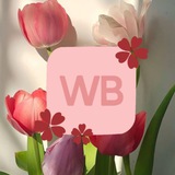Сравни и купи (WB, Ozon)