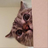 $nala