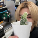 Leehan.