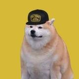 ENTER $MURPHY