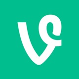 Vine