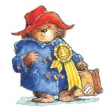 Teddy