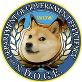 N.D.O.G.E