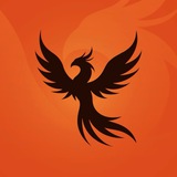 Dark Phoenix Girl’s