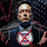 Elon Musk butchering USAid