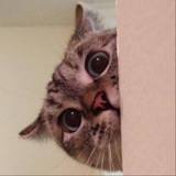 Nala CTO