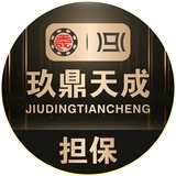 玖鼎天成担保公/专群作业注意事项