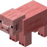 $pig CTO
