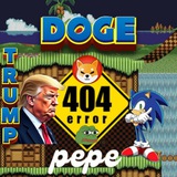 SPTSW404i - $DOGE