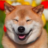 Maru Taro