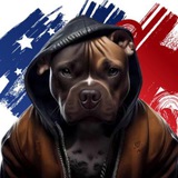 BULLY CTO Portal