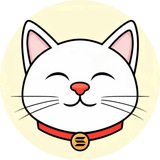 Shiro Neko | Portal
