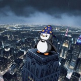 PENGU room 🐧