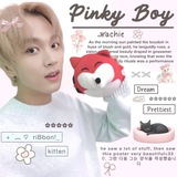 s𝓞ft [8/9] .. ₍ ᐢ..ᐢ ₎ paw—s! dainty journalist : 𓍼 ° 🗒
