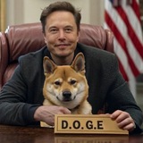 $DOGE - Portal