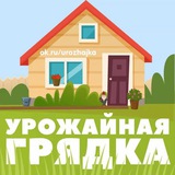 Дача. Огород