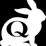 White Rabbit