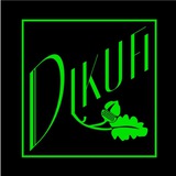 DiKuFi-Kanal