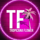 Букеты ТУАПСЕ•АНАПА 🌴 Tropicana