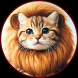 LIONCAT
