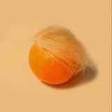 ORANGE MAN GOOD PORTAL