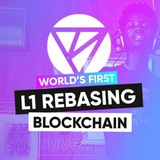 Vitruveo Blockchain Portal