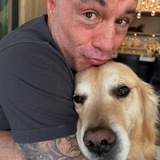 Joe Rogan's Dog #MARSHALL CTO