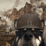 War Dog CTO {portal}