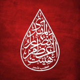 هیات اعظم انصار المهدی (عج) عجب شیر