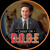 Chief of D.O.G.E Portal