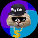 $TAOCAT cool cats club