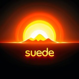 SUEDE AI(WILL NEVER DM FIRST)
