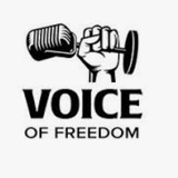 G4D FREE SPEECH