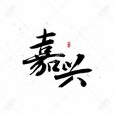 嘉兴出击报告