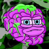 Brian Rot