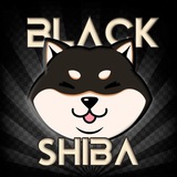 Black Shiba | Portal