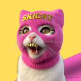 SKICAT PORTAL