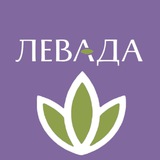 "ЛЕВАДА" (Краснодар)