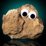 HEE
