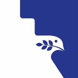 今日全网曝光频道